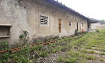 Imagem 3: Na Estrada Da Caroba