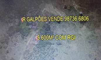 Imagem: Na Rodovia Washington Luiz