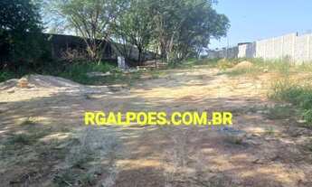 Imagem: Na Avenida Demétrio Ribeiro