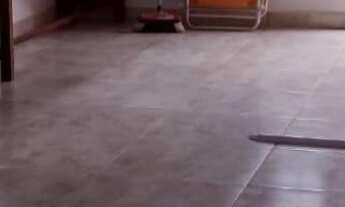 Imagem 7: CHACARA VENDA em BERTIOGA - SP, CAIUBURA