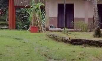 Imagem 3: CHACARA VENDA em BERTIOGA - SP, CAIUBURA