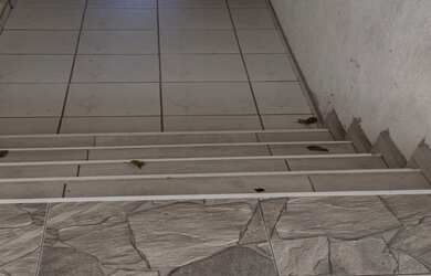 Imagem 2: Casa à venda na Vila Lutécia, Santo André-SP: 3 quartos, 1 sala, 2 banheiros, 3 vagas de g