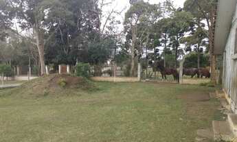 Imagem 7: AREA RESIDENCIAL em SÃO JOSÉ DOS PINHAIS - PR, BORDA DO CAMPO