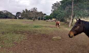 Imagem 2: AREA RESIDENCIAL em SÃO JOSÉ DOS PINHAIS - PR, BORDA DO CAMPO