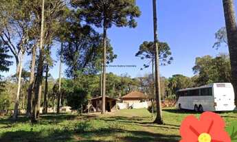 Imagem 7: Chácara com casa - 4 quartos - 1 suíte - Rota das Colônias