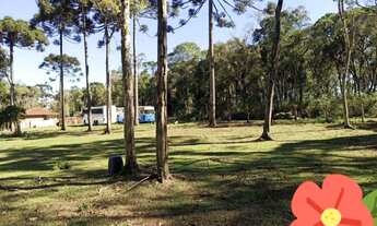 Imagem 6: Chácara com casa - 4 quartos - 1 suíte - Rota das Colônias