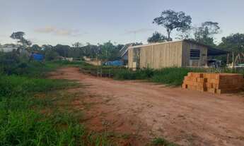Imagem 2: Terreno 900 metros da praia - Guaratuba