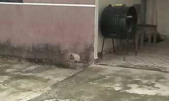 Imagem: CASA RESIDENCIAL em Curitiba - PR, Santa