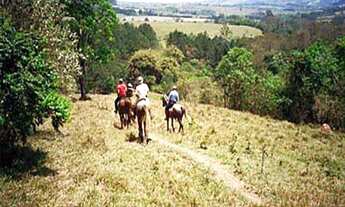 Imagem: Haras com 3 dorms, Indefinido, Araçoiaba