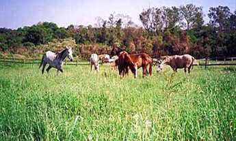 Imagem 2: Haras com 3 dorms, Indefinido, Araçoiaba da Serra - R$ 3.1 mi, Cod: 1893