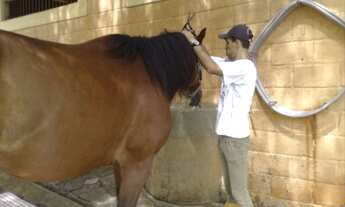 Imagem 4: Haras com 3 dorms, Indefinido, Araçoiaba da Serra - R$ 3.1 mi, Cod: 1893