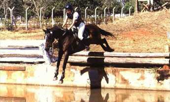 Imagem 5: Haras com 3 dorms, Indefinido, Araçoiaba da Serra - R$ 3.1 mi, Cod: 1893