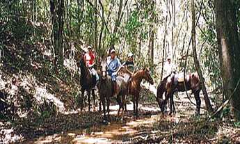Imagem 6: Haras com 3 dorms, Indefinido, Araçoiaba da Serra - R$ 3.1 mi, Cod: 1893