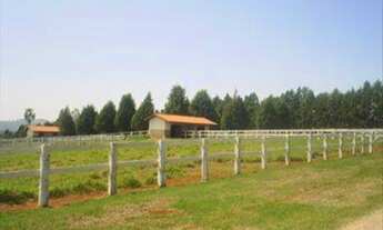 Imagem 3: Haras com 10 dorms à venda no Salto de Pirapora/SP