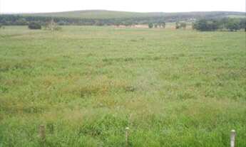 Imagem: Terreno á venda no Capanema - Araçoiaba