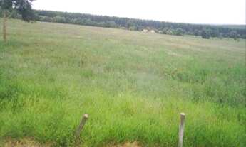 Imagem 2: Terreno á venda no Capanema - Araçoiaba da Serra/SP