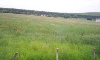 Imagem 3: Terreno á venda no Capanema - Araçoiaba da Serra/SP