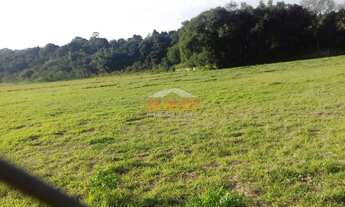 Imagem 4: Terreno à venda no Centro de Araçoiaba da Serra/SP