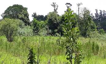 Imagem: Área, Barreiro, Araçoiaba da Serra - SP
