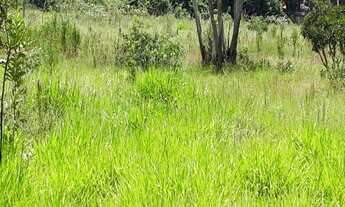 Imagem 2: Área, Barreiro, Araçoiaba da Serra - SP