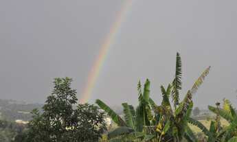 Imagem 6: Sítio com 3 dorms, Rio Verde, Araçoiaba da Serra - R$ 1 mi, Cod: 3696