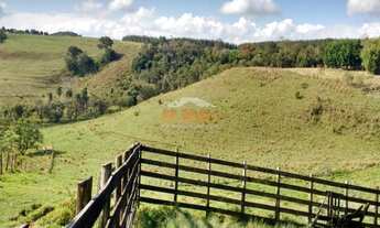 Imagem: Fazenda, Sarapuí - R$ 1.000.000,00 - Codigo