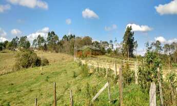 Imagem 5: Fazenda, Sarapuí - R$ 1.000.000,00 - Codigo: 3784