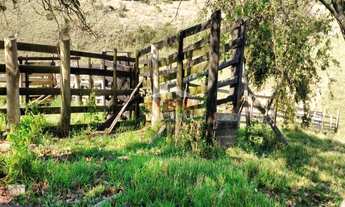 Imagem 6: Fazenda, Sarapuí - R$ 1.000.000,00 - Codigo: 3784