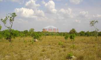 Imagem 3: Fazenda Rural, Miracema do Tocantins - R$ 15 mi, Cod: 3944