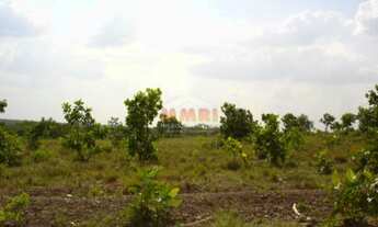 Imagem 5: Fazenda Rural, Miracema do Tocantins - R$ 15 mi, Cod: 3944