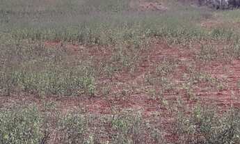 Imagem 5: Área, Indefinido, Araçoiaba da Serra - R$ 69.680 mi, Cod: 3448