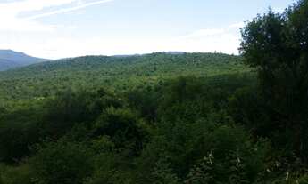 Imagem 6: Fazenda à venda em Paratinga - BA