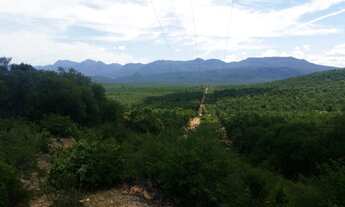 Imagem 7: Fazenda à venda em Paratinga - BA