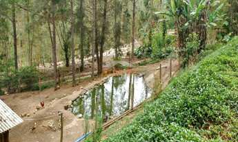 Imagem 4: Sítio, Indefinido, Salto de Pirapora - R$ 700 mil, Cod: 4041