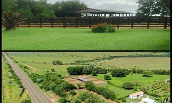 Imagem 4: Fazenda à Venda em Presidente Prudente/SP