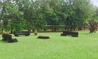 Imagem 5: Fazenda à Venda em Presidente Prudente/SP