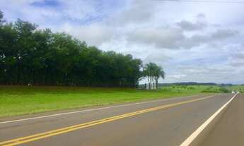 Imagem 6: Fazenda à Venda em Presidente Prudente/SP