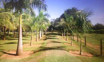Imagem 7: Fazenda à Venda em Presidente Prudente/SP