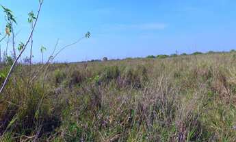Imagem 6: FAZENDA RURAL em Poconé - MT, Rural