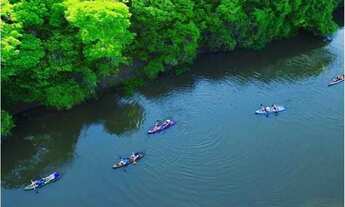 Imagem: Fazenda, Zona Rural, Aquidauana - R$ 230