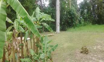 Imagem 3: SÍTIO - 02 DORMITÓRIOS - JUTUBA - CAPELA DO ALTO / R$ 700 MIL (CÓD. 3240