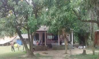 Imagem 5: SÍTIO - 02 DORMITÓRIOS - JUTUBA - CAPELA DO ALTO / R$ 700 MIL (CÓD. 3240