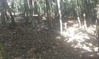 Imagem 4: Sitio em Condomínio de Luxo com 1 Quarto e 1 Suíte em Araçoiaba da Serra-SP - Imperdível!