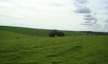 Imagem: Fazenda, INDEFINIDO, Taquarituba - Codigo