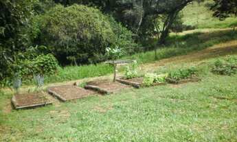 Imagem 7: Sítio á venda na região rural de Pilar do Sul/SP