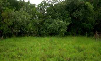Imagem: Terreno à venda em Araçoiabinha - Araçoiaba