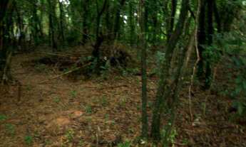 Imagem 2: Terreno à venda em Araçoiabinha - Araçoiaba da Serra/SP