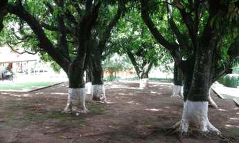 Imagem 6: Sítio com 2 dorms, Indefinido, Araçoiaba da Serra - R$ 2.7 mi, Cod: 2863