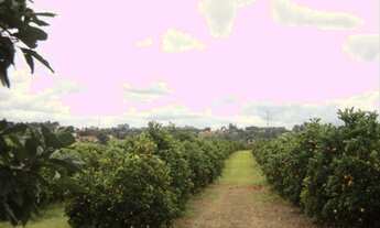 Imagem 2: Área, Porto, Capela do Alto - R$ 3.9 mi, Cod: 2592