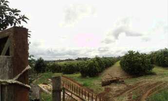 Imagem 3: Área, Porto, Capela do Alto - R$ 3.9 mi, Cod: 2592